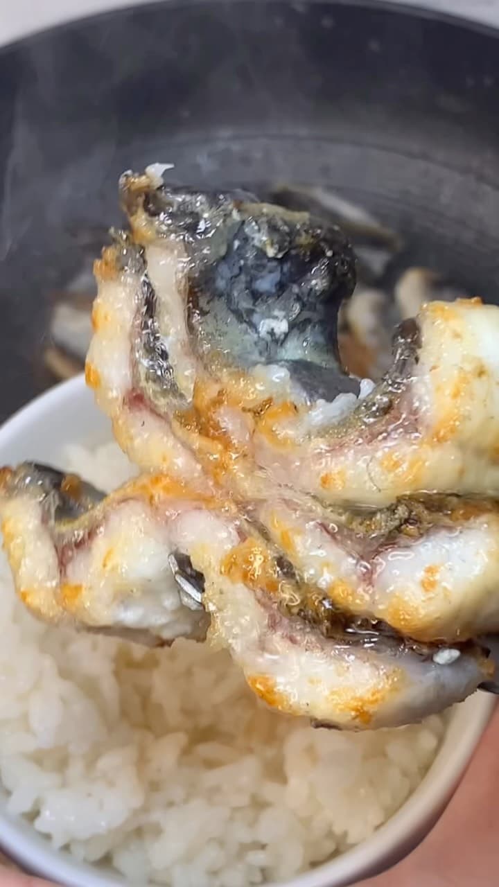장어