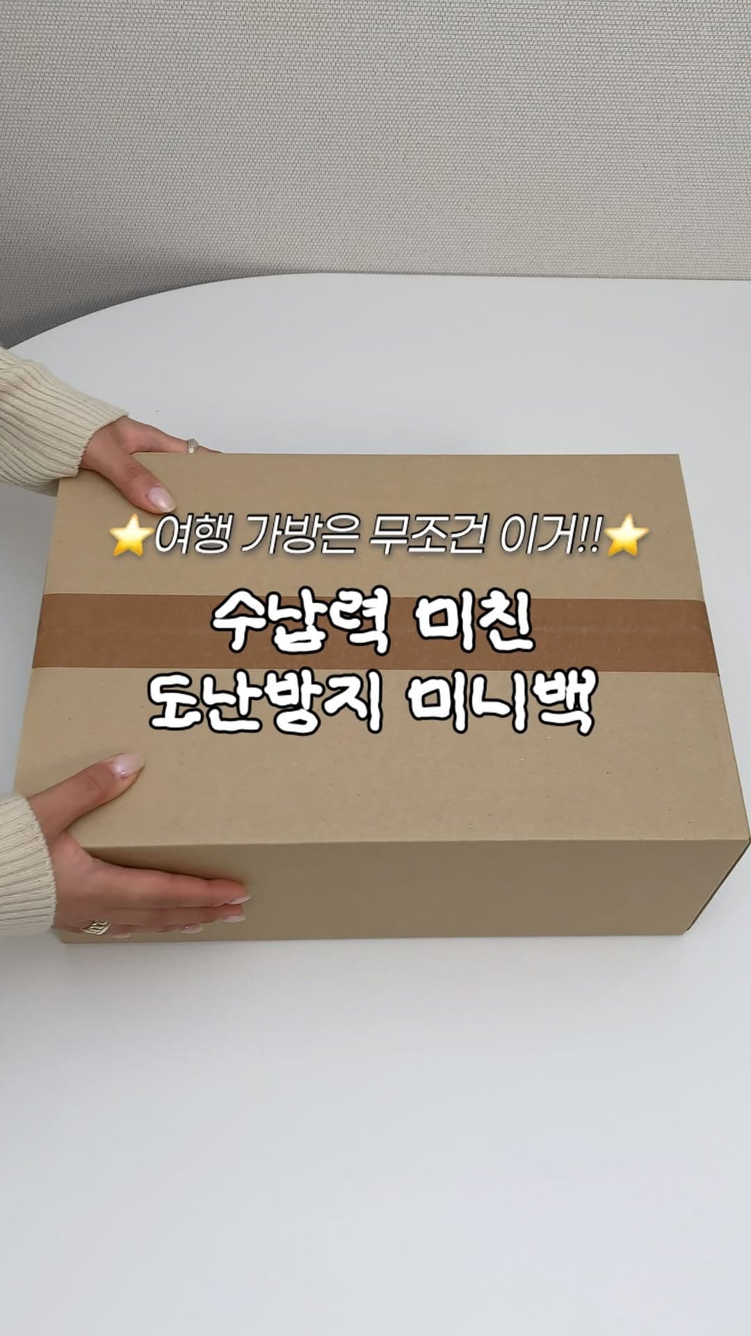 미니백
