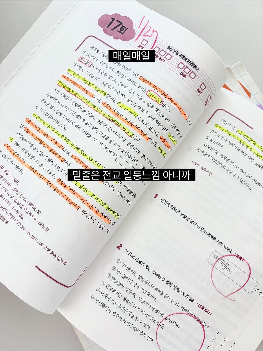 시서례