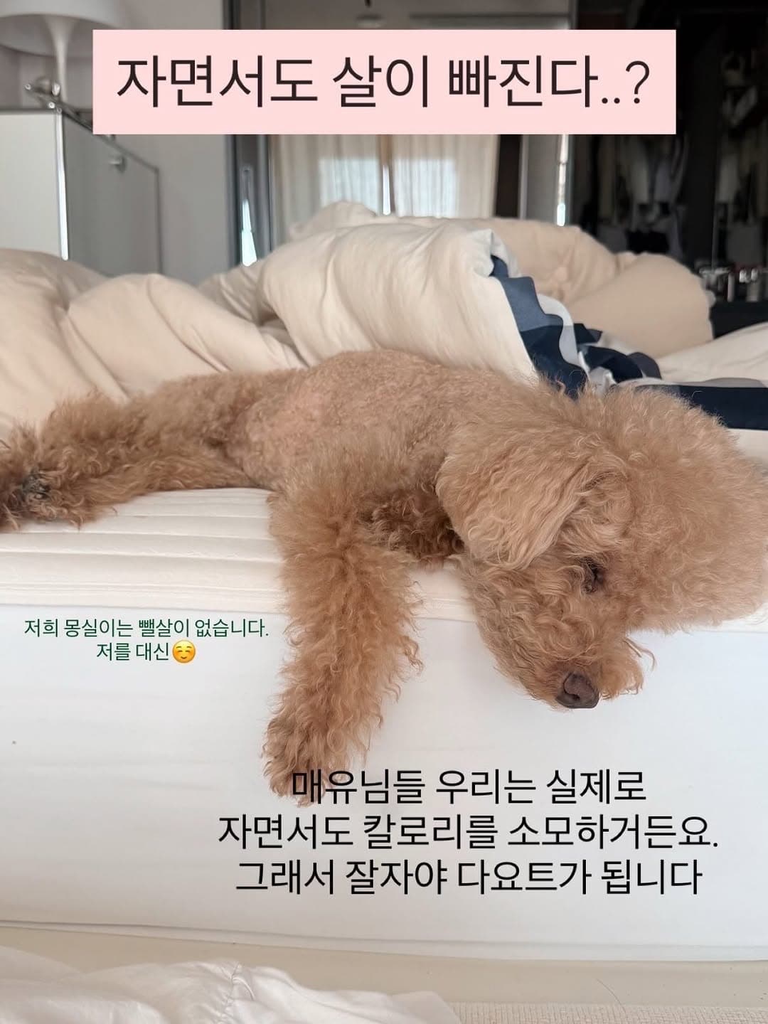 나잇밤