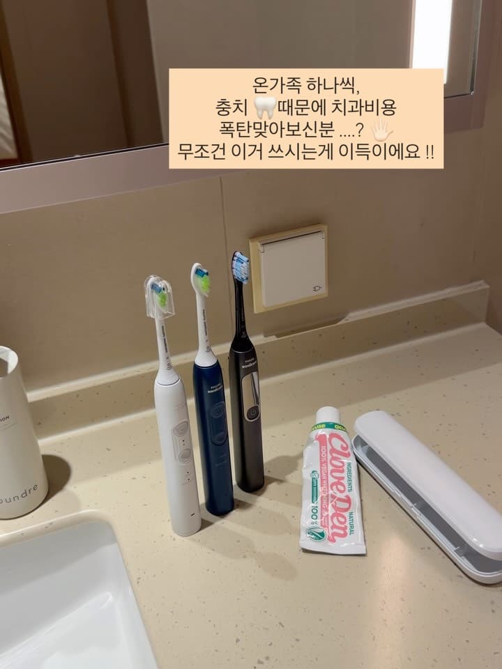 필립스 소닉케어 칫솔모